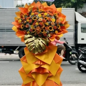 Tỏa Sáng Thành Công